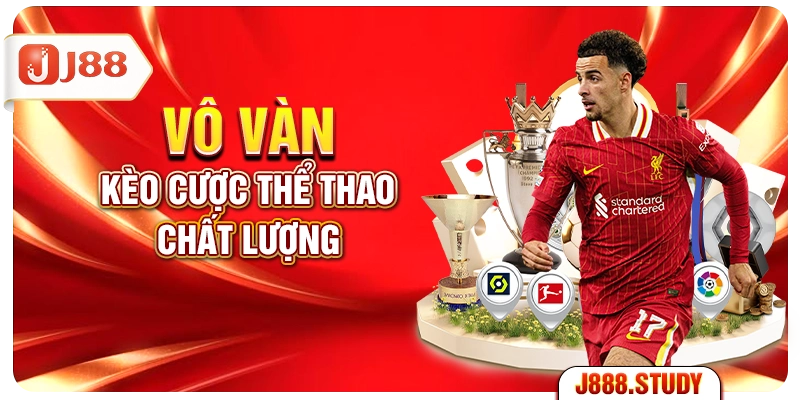 vo-van-keo-cuoc-the-thao-chat-luong
