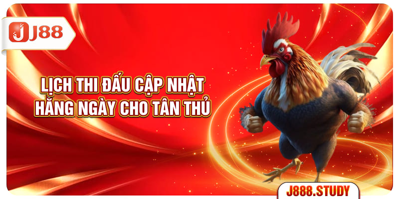 lich-thi-dau-cap-nhat-hang-ngay-cho-tan-thu