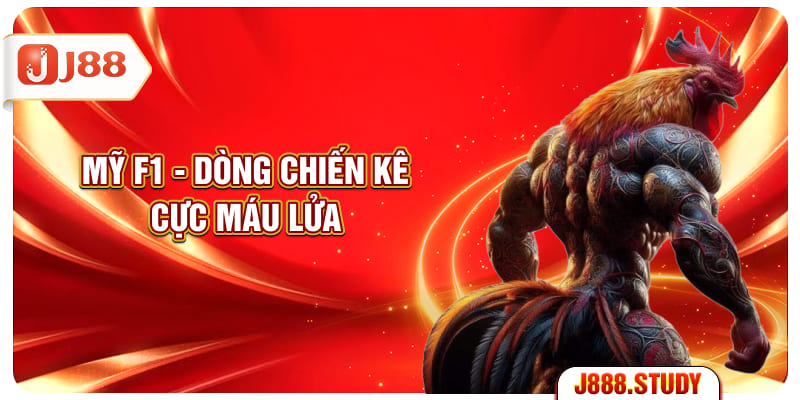 my-f1-dong-chien-ke-cuc-mau-lua